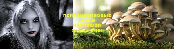 винт Алексин