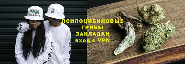 PSILOCYBIN Россошь