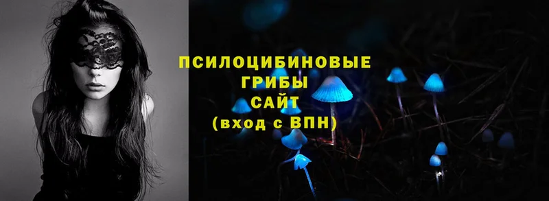 продажа наркотиков  Лаишево  Псилоцибиновые грибы Psilocybine cubensis 